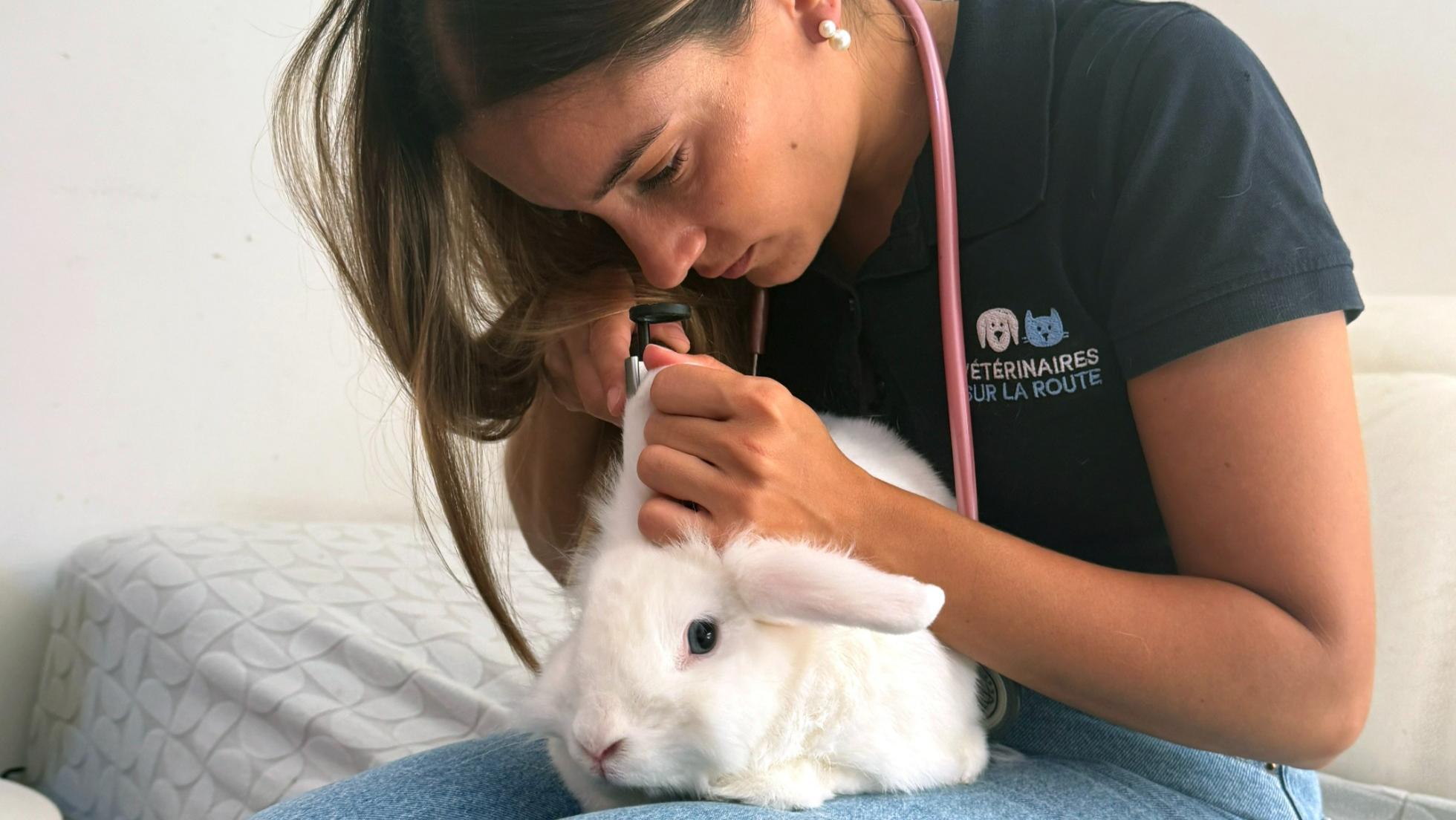 NAC Animaux | Vétérinaire